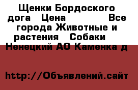 Щенки Бордоского дога › Цена ­ 60 000 - Все города Животные и растения » Собаки   . Ненецкий АО,Каменка д.